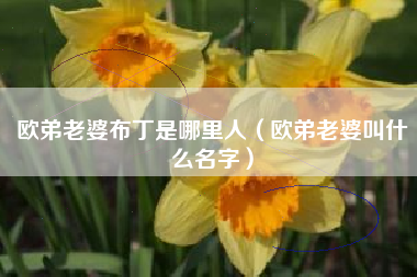 欧弟老婆布丁是哪里人（欧弟老婆叫什么名字）