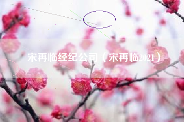 宋再临经纪公司（宋再临2021）