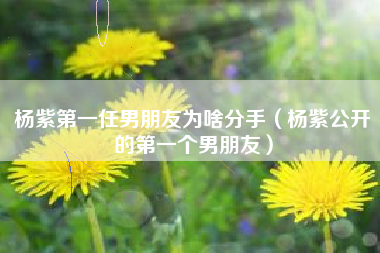 杨紫第一任男朋友为啥分手（杨紫公开的第一个男朋友）