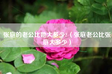 张庭的老公比她大多少?（张庭老公比张庭大多少）