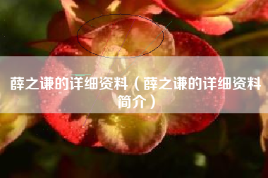 薛之谦的详细资料（薛之谦的详细资料简介）
