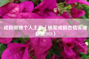 成毅微博个人主页（杨紫成毅恋情实锤最新2023）