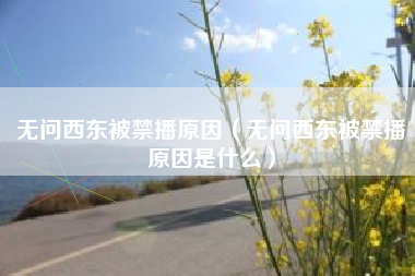 无问西东被禁播原因（无问西东被禁播原因是什么）