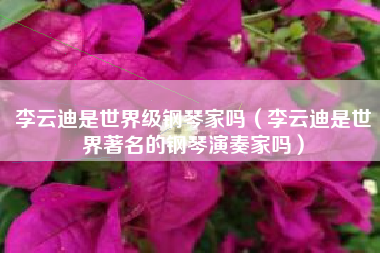 李云迪是世界级钢琴家吗（李云迪是世界著名的钢琴演奏家吗）