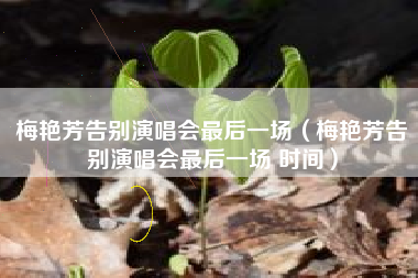 梅艳芳告别演唱会最后一场（梅艳芳告别演唱会最后一场 时间）