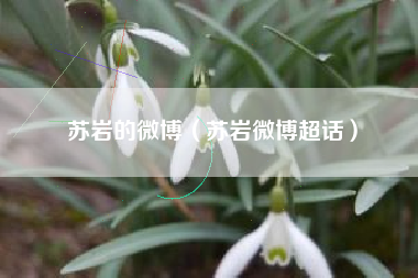 苏岩的微博（苏岩微博超话）