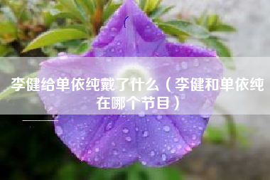 李健给单依纯戴了什么（李健和单依纯在哪个节目）