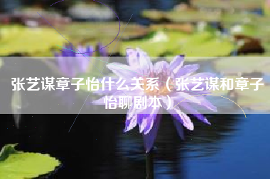 张艺谋章子怡什么关系（张艺谋和章子怡聊剧本）