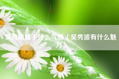 吴秀波属于什么气质（吴秀波有什么魅力）