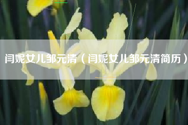闫妮女儿邹元清（闫妮女儿邹元清简历）