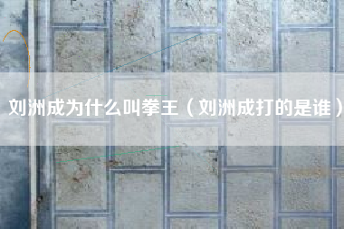 刘洲成为什么叫拳王（刘洲成打的是谁）