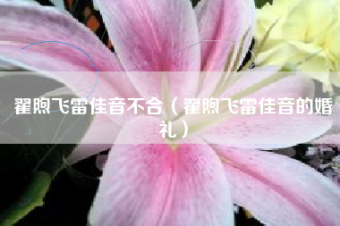 翟煦飞雷佳音不合（翟煦飞雷佳音的婚礼）