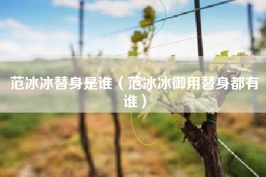 范冰冰替身是谁（范冰冰御用替身都有谁）
