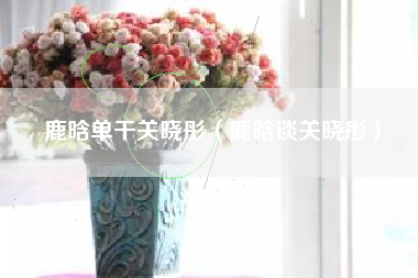 鹿晗单干关晓彤（鹿晗谈关晓彤）