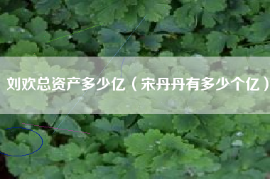 刘欢总资产多少亿（宋丹丹有多少个亿）