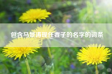 包含马景涛现任妻子的名字的词条