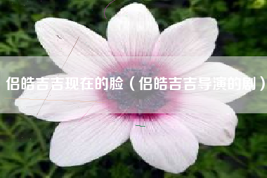 侣皓吉吉现在的脸（侣皓吉吉导演的剧）