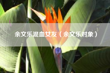 余文乐混血女友（余文乐对象）