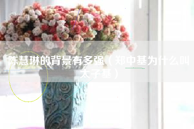 陈慧琳的背景有多强（郑中基为什么叫太子基）