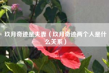 玖月奇迹是夫妻（玖月奇迹两个人是什么关系）