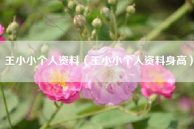 王小小个人资料（王小小个人资料身高）