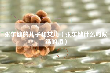 张东健的儿子和女儿（张东健什么时候结的婚）