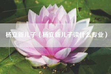 杨立新儿子（杨立新儿子读什么专业）