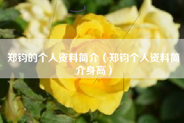 郑钧的个人资料简介（郑钧个人资料简介身高）