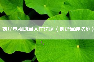 刘烨电视剧军人在法庭（刘烨军装法庭）