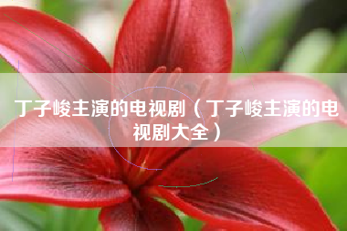 丁子峻主演的电视剧（丁子峻主演的电视剧大全）