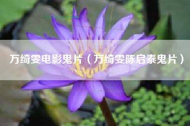 万绮雯电影鬼片（万绮雯陈启泰鬼片）
