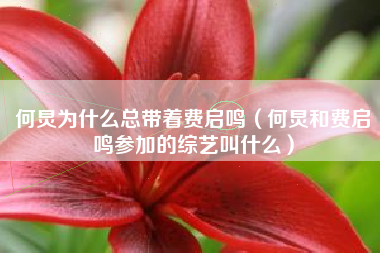 何炅为什么总带着费启鸣（何炅和费启鸣参加的综艺叫什么）