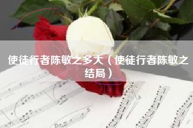 使徒行者陈敏之多大（使徒行者陈敏之结局）