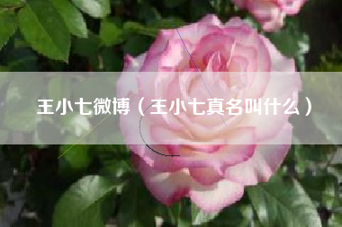 王小七微博（王小七真名叫什么）