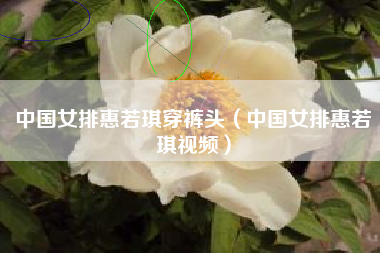 中国女排惠若琪穿裤头（中国女排惠若琪视频）