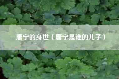 唐宁的身世（唐宁是谁的儿子）