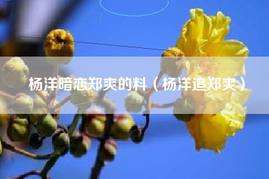 杨洋暗恋郑爽的料（杨洋追郑爽）