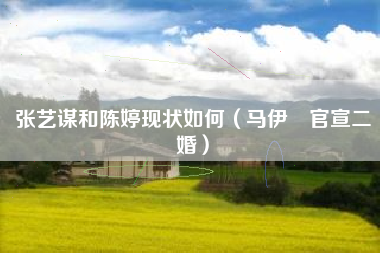 张艺谋和陈婷现状如何（马伊琍官宣二婚）