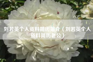 刘若英个人资料简历简介（刘若英个人资料简历老公）