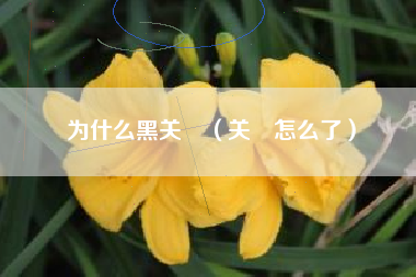 为什么黑关喆（关喆怎么了）