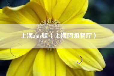 上海amy姐（上海阿姐餐厅）