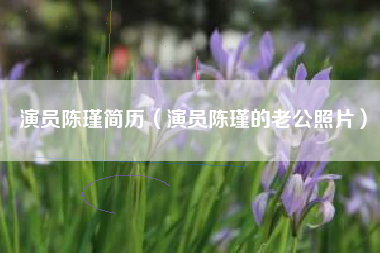 演员陈瑾简历（演员陈瑾的老公照片）