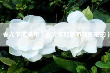 春光乍泄瀑布（春光乍泄瀑布在哪拍的）