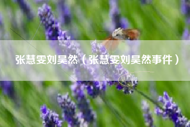 张慧雯刘昊然（张慧雯刘昊然事件）