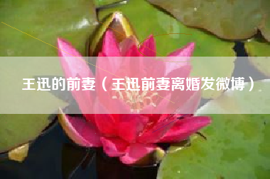王迅的前妻（王迅前妻离婚发微博）