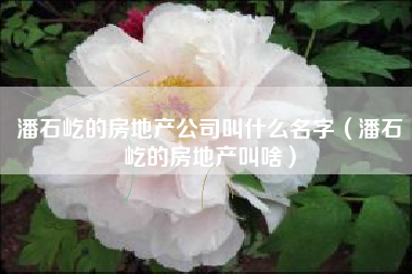 潘石屹的房地产公司叫什么名字（潘石屹的房地产叫啥）