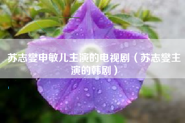 苏志燮申敏儿主演的电视剧（苏志燮主演的韩剧）