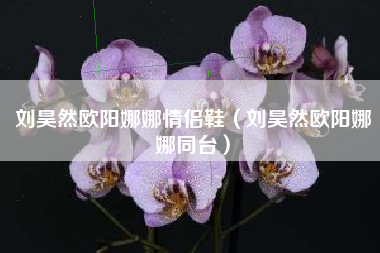刘昊然欧阳娜娜情侣鞋（刘昊然欧阳娜娜同台）
