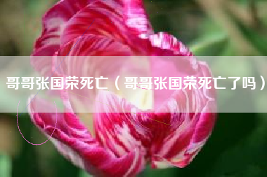 哥哥张国荣死亡（哥哥张国荣死亡了吗）