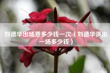 刘德华出场费多少钱一次（刘德华演出一场多少钱）